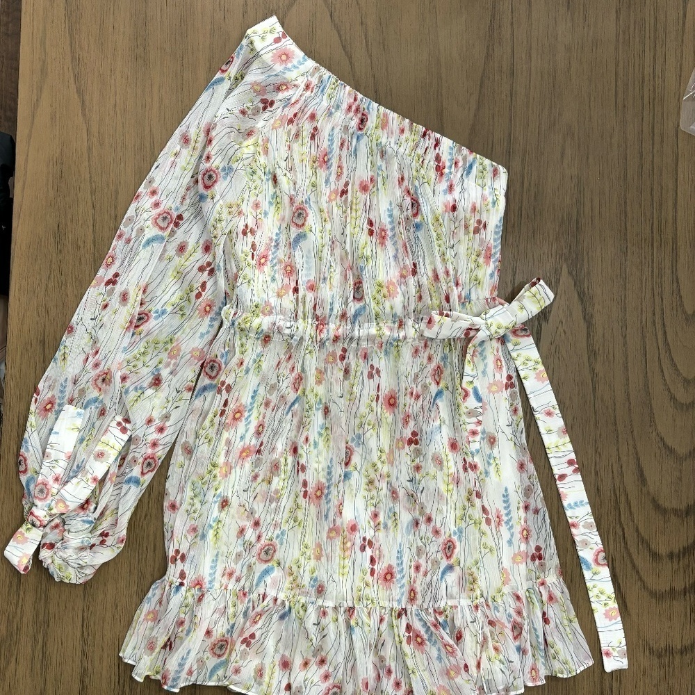Alexis One Shoulder Floral Pleated Mini Dress Cream White XS Asymmetrical Ruffle - Picture 3 of 8